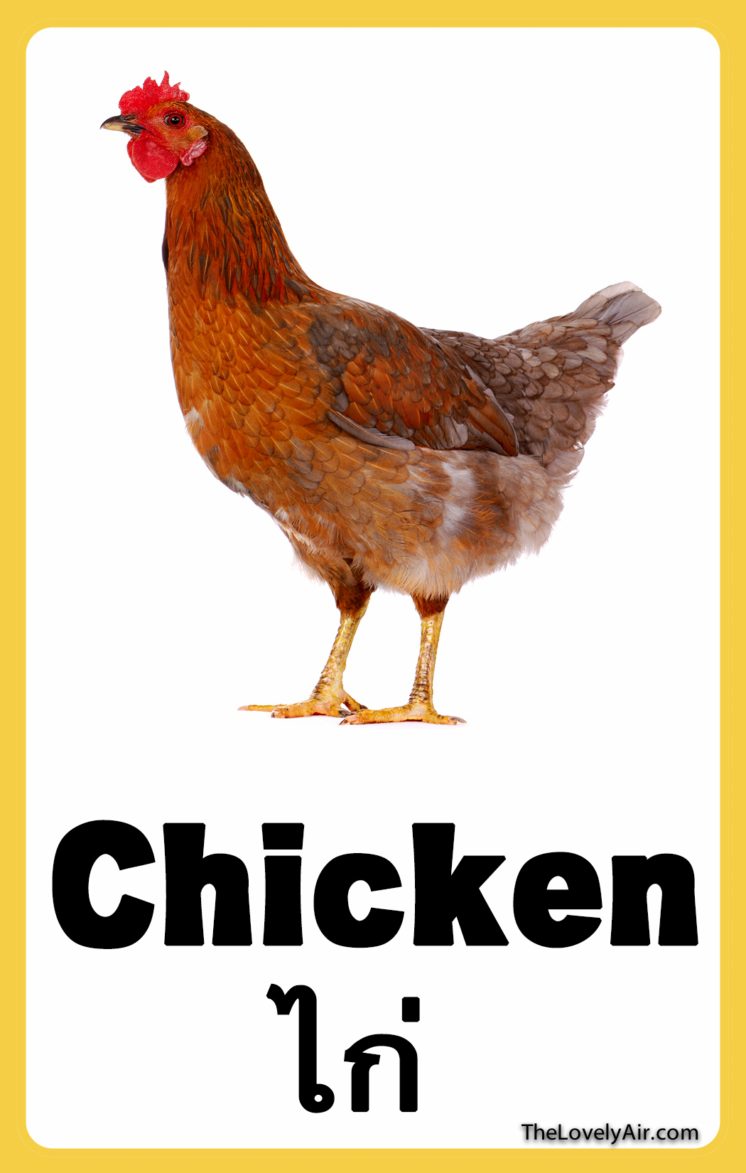 FlashCard - Chicken