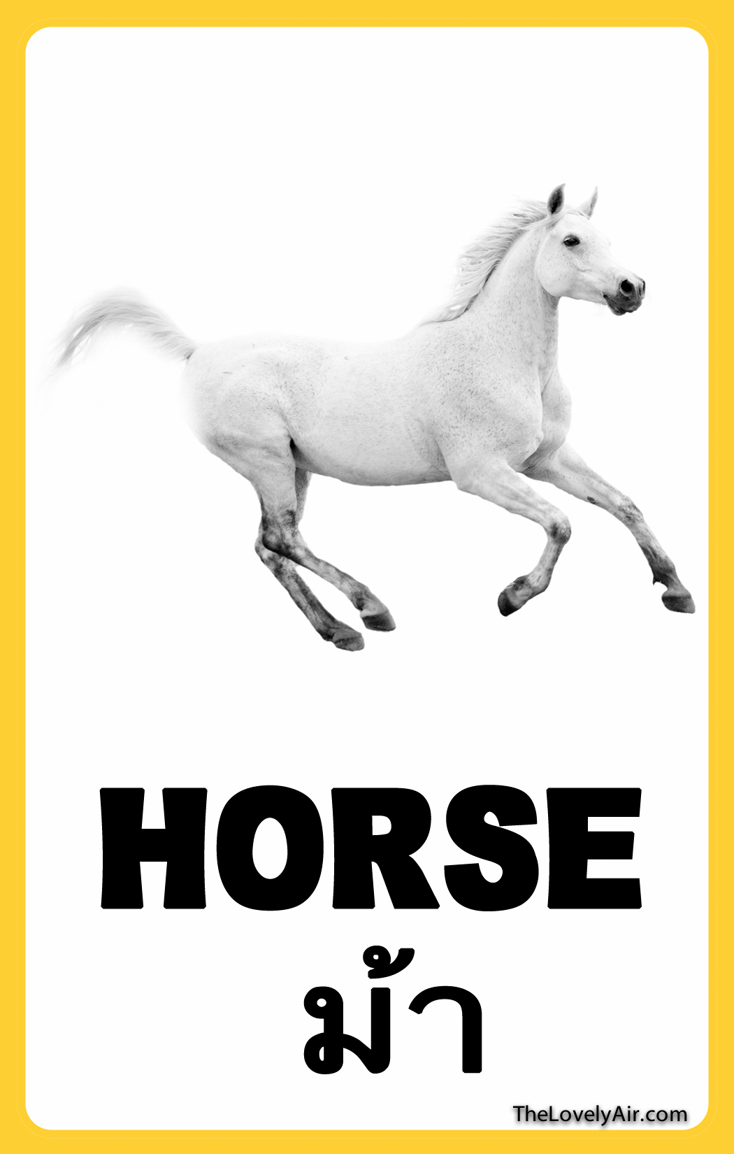 FlashCard---Horse