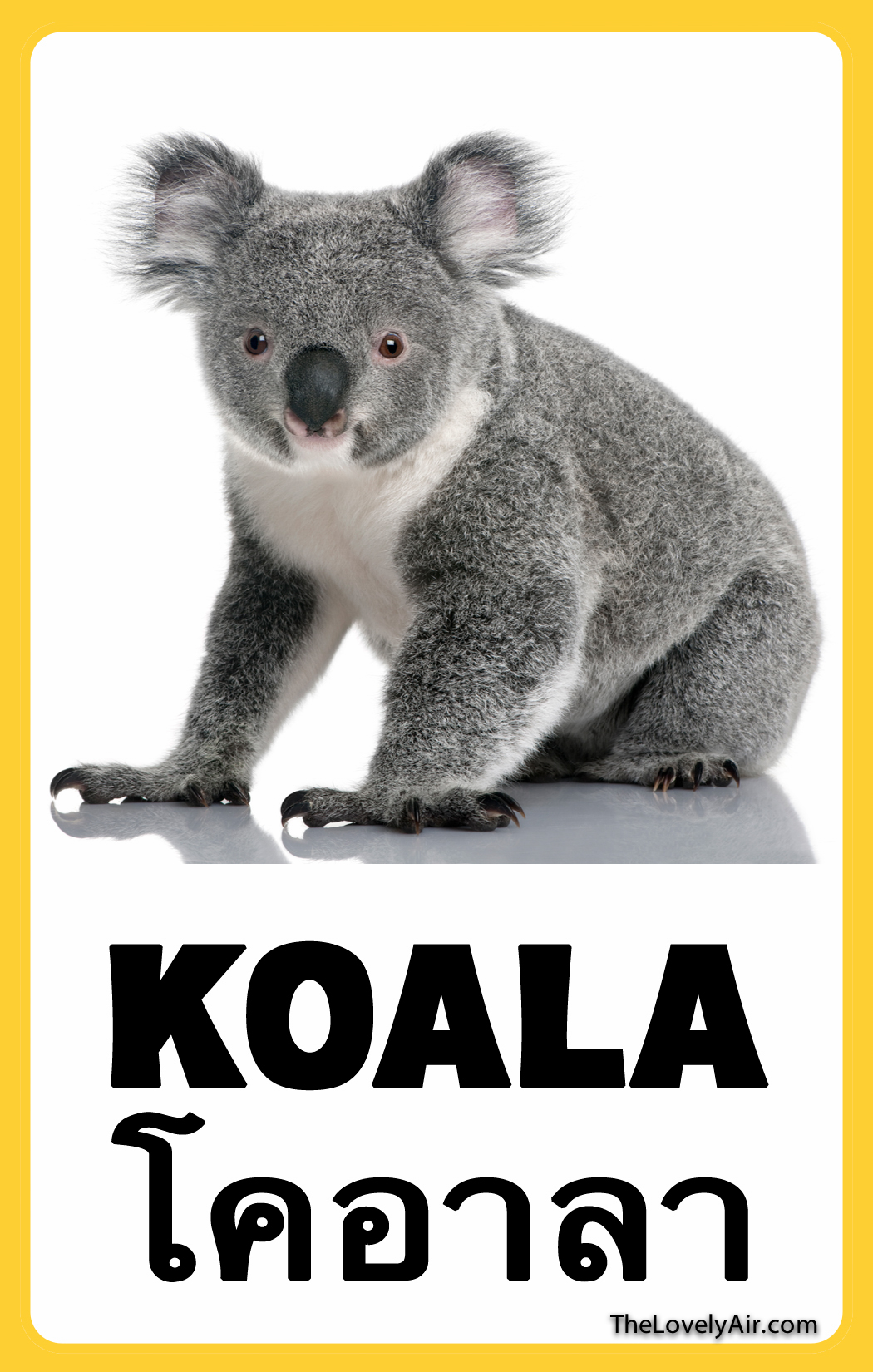 FlashCard---Koala