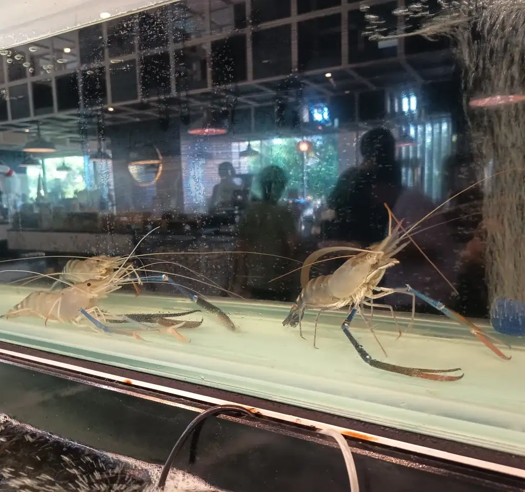 Somerset pattaya - thelovelyair 